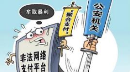 公安部央行今年打掉深圳爱贝、上海迪付、趣跑等一批非法支付平台，涉案资金540亿余元
