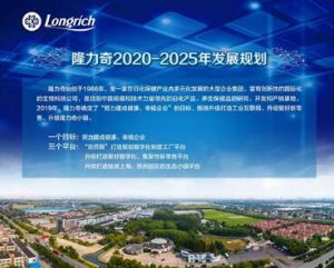 隆力奇2020-2025发展规划：聚势赋能，完成“一个目标、三大平台”