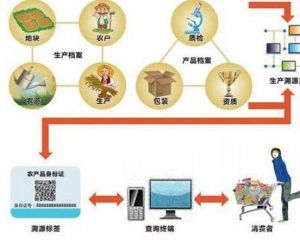 广州推进“区块链+AI+食品溯源”智能监管