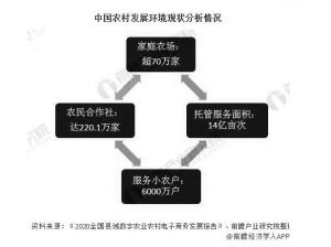 2020年中国农村电商行业发展现状分析县域网络零售额突破3万亿元