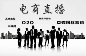 上半年全国电商直播超千万场 网上“剁手”破5万亿，同比增长7．3％