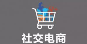 倒闭、转型、匿迹：2020年社交电商已死？