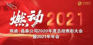 双迪、晶泰公司2020年度总结表彰大会暨2021年年会召开