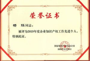 康婷集团总裁杨琪女士荣获“2019年度企业知识产权工作先进个人”称号