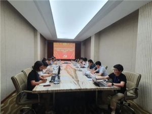 隆力奇党委隆重召开党史学习教育专题组织生活会