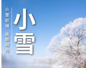 和治友德|小雪养生：注重一清一防一补