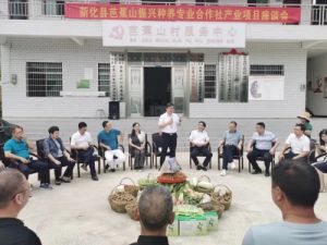 绿之韵参加省工商联“万企兴万村”新化调研