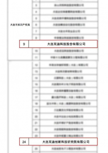 实力展现 双迪入选国家知识产权优势企业