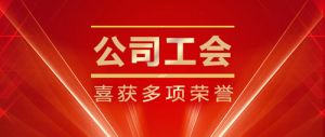 弘扬劳模精神 新时代公司工会喜获多项荣誉