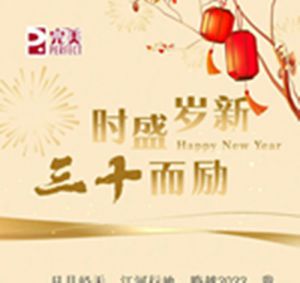 完美新年寄语 | 时盛岁新 三十而励