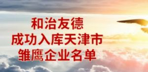 祝贺！天津和治友德科技发展有限公司成功入库天津市雏鹰企业名单