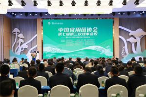 安惠公司陆汉萍参加中国食用菌协会理事会议