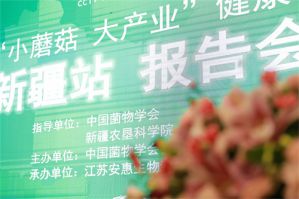 “小蘑菇 大产业”健康中国行新疆站报告会暨安惠新疆分公司成立大会举行