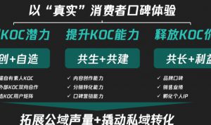 1万字讲透私域KOC体系，爆改全域运营思路