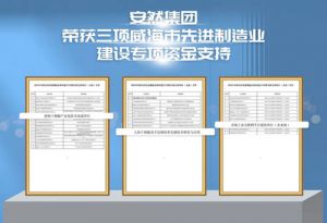 安然获三项威海先进制造业建设专项资金支持</a>