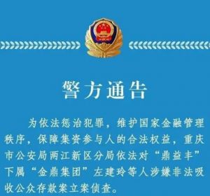 重庆两江新区公安机关发布“鼎益丰”协办案件警方通告