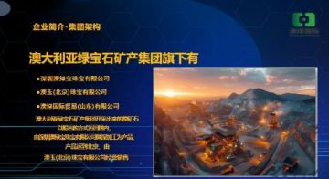 澳绿国际贸易（山东）有限公司涉嫌以传销模式非法集资