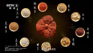 无限极养固健灵芝皇再登CCTV-2《消费主张》