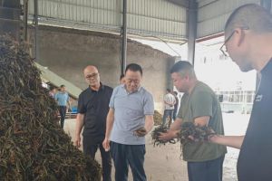 品控溯源 ‌理想华莱生产管理团队深入一线调研原料供应链</a>