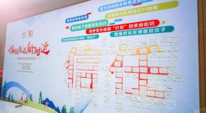 第七届无限极“520社会责任日”活动召开</a>