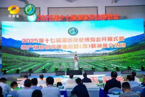 理想华莱闪耀2025第十七届湖南茶业博览会