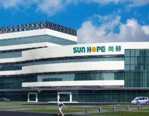 关于开展市场规范整治专项行动的公告