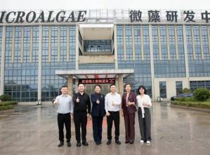 绿之韵公益基金会捐赠20万元支持长沙县高桥镇红色文化传承