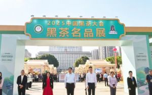 理想华莱出席2025中国黑茶大会