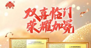 荣格闪耀“2025新经济风云榜”获双项大奖