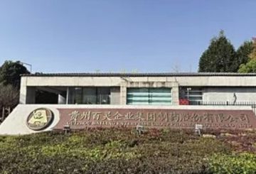 从纾困合作到对簿公堂 贵州百灵深陷“残酷联姻”