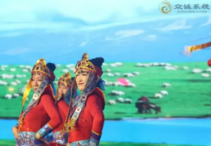 双迪股份众诚系统2026年会盛典收官