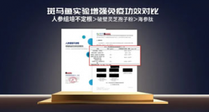 安然黑科技再突破 人参组培不定根显硬核实力