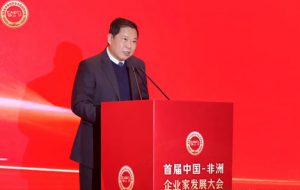 绿之韵胡国安参加首届中非企业家发展大会