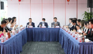 太阳神帅盟体系新春启动座谈会圆满召开