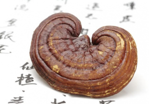 深耕灵芝研究 无限极再获多项权威认可!