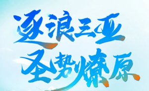 逐浪三亚 2026圣原精英三亚荣耀之旅收官