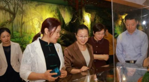 全国妇联妇女发展部副部长奉朝晖在安惠调研