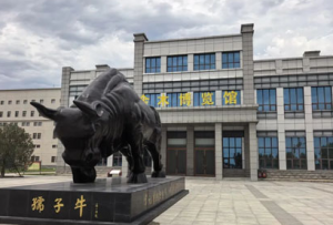 尼泊尔政商代表团莅临金木集团考察交流