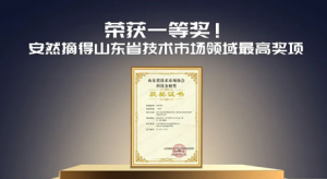 获一等奖 安然摘得山东技术市场领域最高奖项