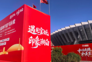 四载健康同行 畅跑共迎国庆：2026“和治友德”宝坻潮白湿地半程马拉松盛大举办